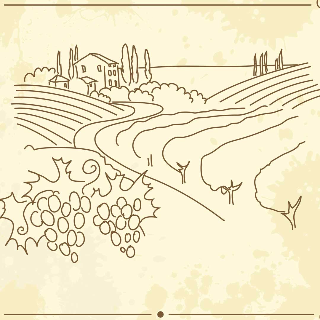 terroir-denmark-wine-region